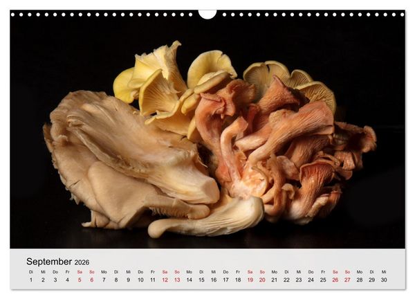 Produktbild: Japanese Cuisine (Wandkalender 2026 DIN A3 quer), CALVENDO Monatskalender