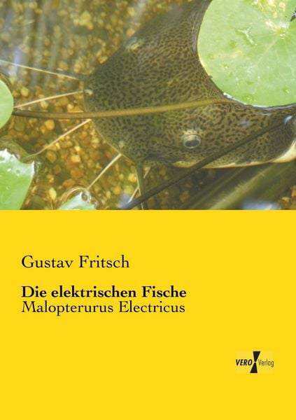 Produktbild: Die elektrischen Fische