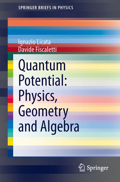 Produktbild: Quantum Potential: Physics, Geometry and Algebra