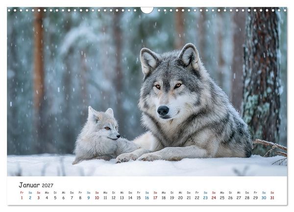 Produktbild: Wenn Tiere Freunde werden (Wandkalender 2027 DIN A3 quer), CALVENDO Monatskalender