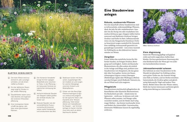 Produktbild: Small Garden Beauty