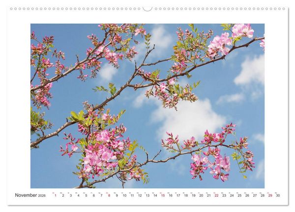 Produktbild: Bl&uuml;ten eines Sommers (hochwertiger Premium Wandkalender 2026 DIN A2 quer), Kunstdruck in Hochglanz