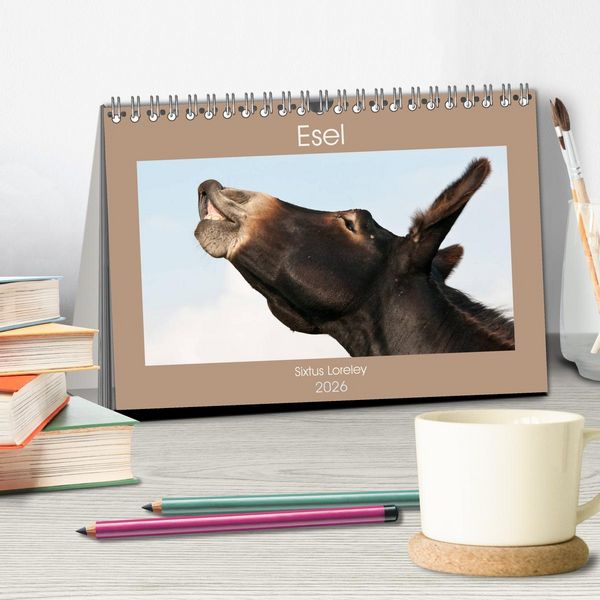 Produktbild: Esel - Sixtus Loreley (Tischkalender 2026 DIN A5 quer), CALVENDO Monatskalender