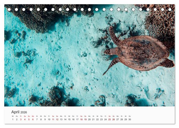 Produktbild: Malediven - Die sch&ouml;nsten Str&auml;nde der Welt. (Tischkalender 2026 DIN A5 quer), CALVENDO Monatskalender