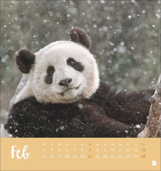 Produktbild: B&auml;renstark Postkartenkalender 2027