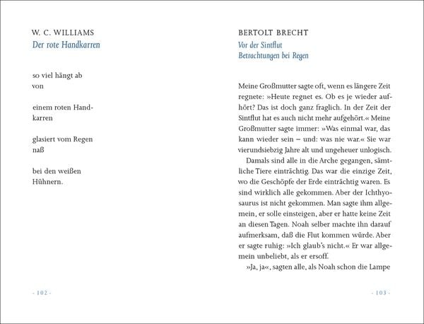 Produktbild: &raquo;Ein kleiner Regen macht nicht nass&laquo;