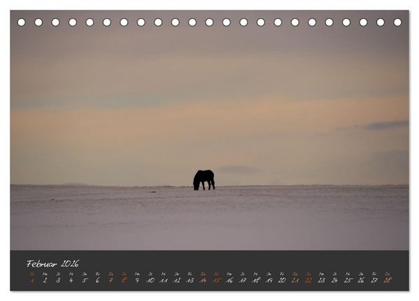 Produktbild: Islandpferde im Isi-Land (Tischkalender 2026 DIN A5 quer), CALVENDO Monatskalender