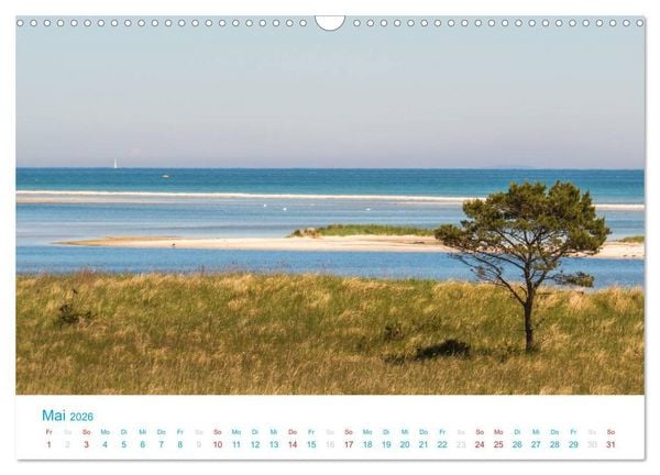 Produktbild: Der Dar&szlig; Kalender (Wandkalender 2026 DIN A3 quer), CALVENDO Monatskalender
