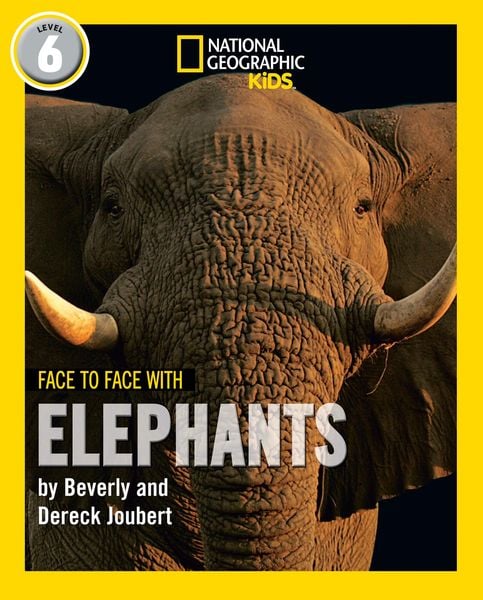 Produktbild: Face to Face with Elephants