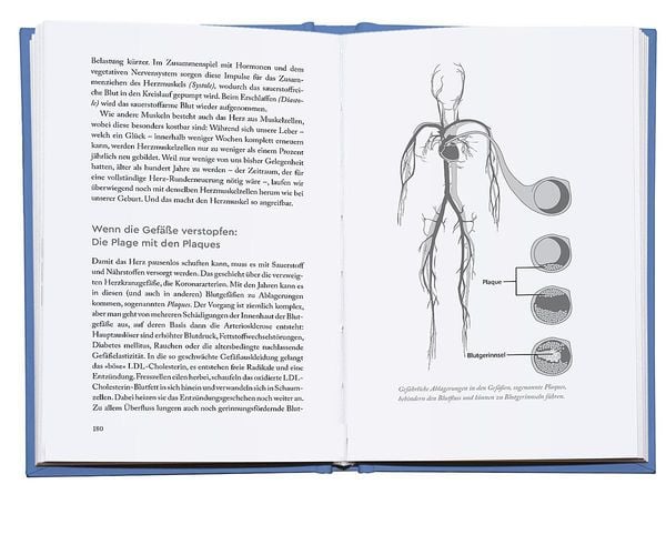 Produktbild: Genial vital!