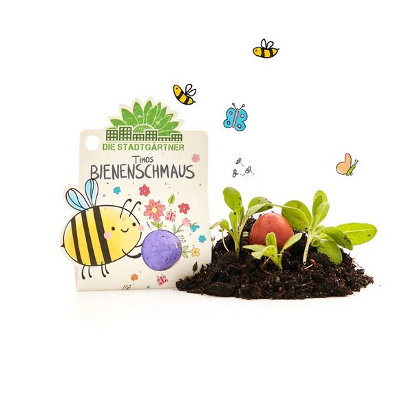 Produktbild: 1er Blumenmurmel Timos Bienenschmaus