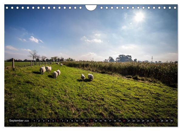 Produktbild: Sch&ouml;nes Ostfriesland (Wandkalender 2026 DIN A4 quer), CALVENDO Monatskalender