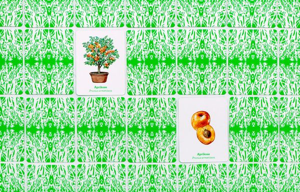 Produktbild: Obst & Gem&uuml;se