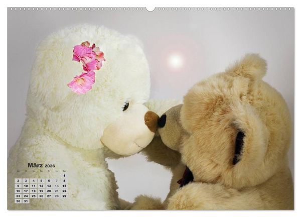 Produktbild: Teddys, wollen wir Kalender anschauen? (Wandkalender 2026 DIN A2 quer), CALVENDO Monatskalender
