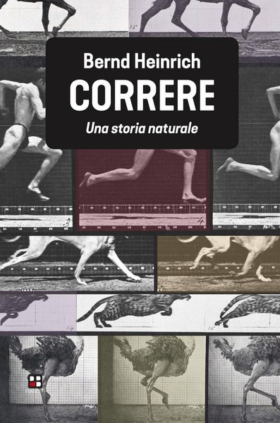 Produktbild: Correre. Una storia naturale