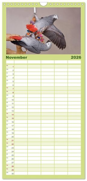 Produktbild: Familienplaner 2026 - Graupapageien zum Verlieben mit 5 Spalten (Wandkalender, 21 x 45 cm) CALVENDO