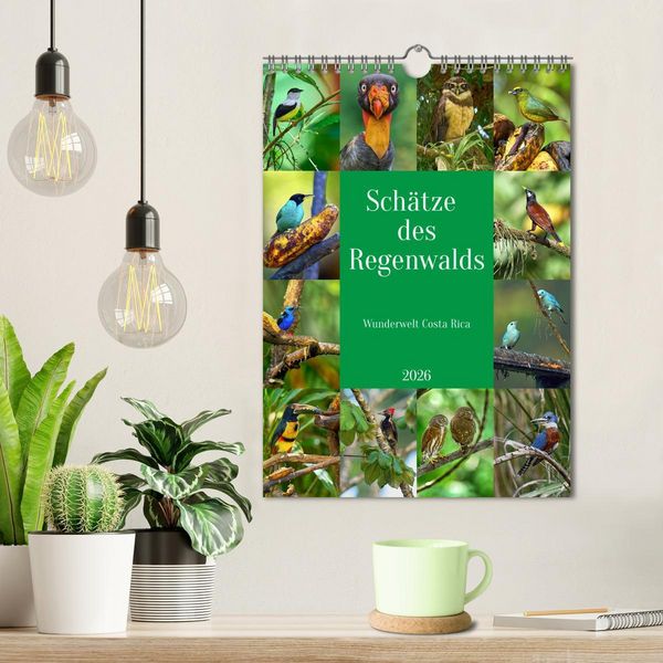 Produktbild: Sch&auml;tze des Regenwalds (Wandkalender 2026 DIN A4 hoch), CALVENDO Monatskalender