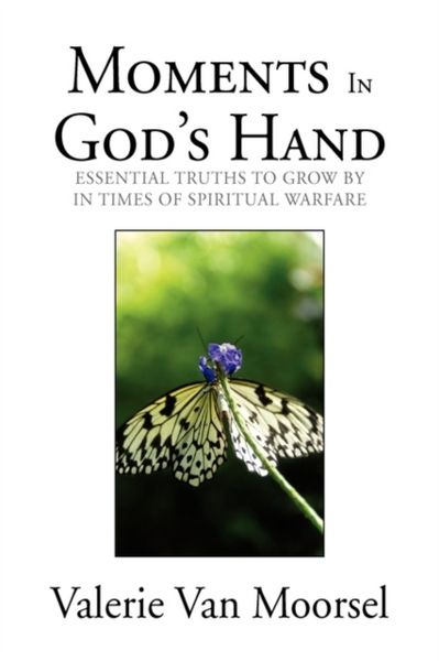 Produktbild: Moorsel, V: Moments In God's Hand