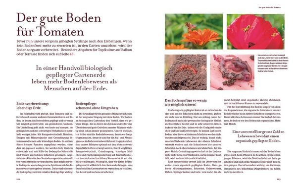 Produktbild: Tomatengl&uuml;ck