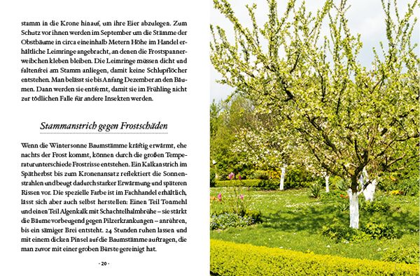 Produktbild: Das große kleine Buch: Obstbäume in unserem Garten