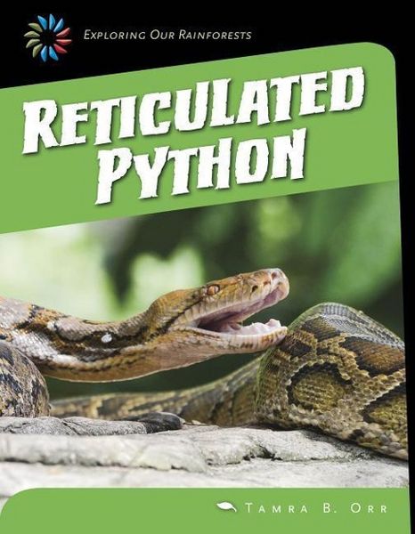 Produktbild: Reticulated Python