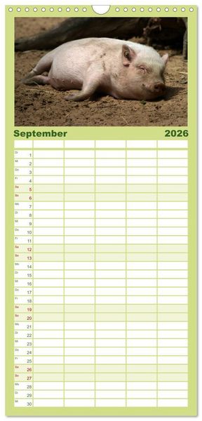 Produktbild: Familienplaner 2026 - Schwein gehabt! mit 5 Spalten (Wandkalender, 21 x 45 cm) CALVENDO