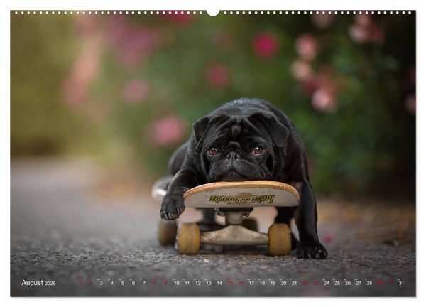 Produktbild: Diesels Welt (Wandkalender 2026 DIN A2 quer), CALVENDO Monatskalender