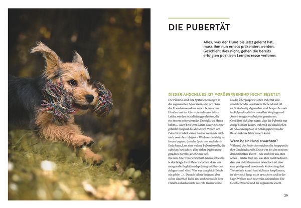 Produktbild: Wenn der Welpe zum halbstarken Hund wird