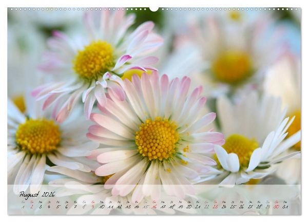Produktbild: Bl&uuml;ten dicht an dicht (hochwertiger Premium Wandkalender 2026 DIN A2 quer), Kunstdruck in Hochglanz