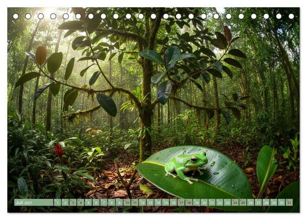 Produktbild: Zimmerpflanzen auf Heimaturlaub (Tischkalender 2027 DIN A5 quer), CALVENDO Monatskalender