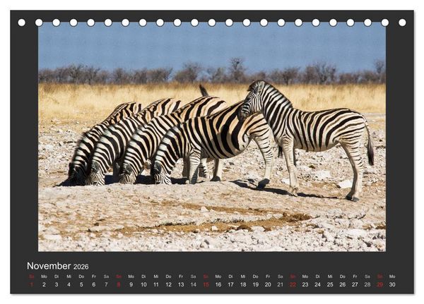 Produktbild: Facetten Namibias (Tischkalender 2026 DIN A5 quer), CALVENDO Monatskalender
