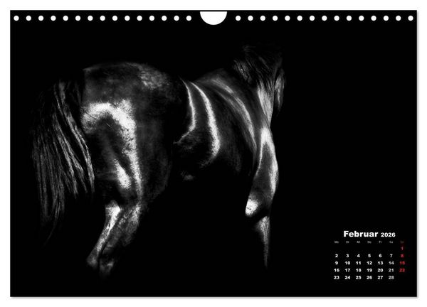 Produktbild: Pferde zwischen Licht und Schatten (Wandkalender 2026 DIN A4 quer), CALVENDO Monatskalender
