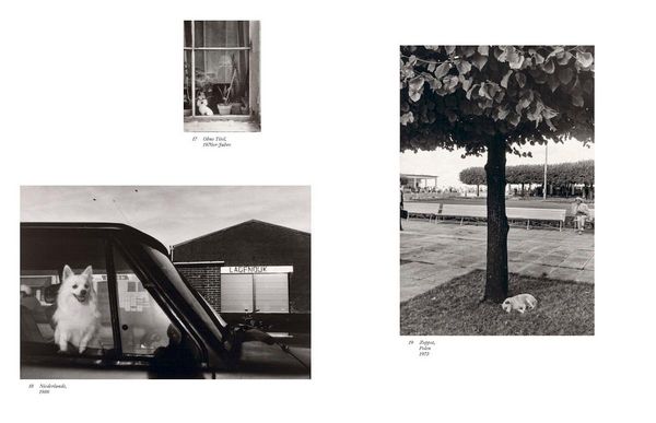 Produktbild: Sibylle Bergemann