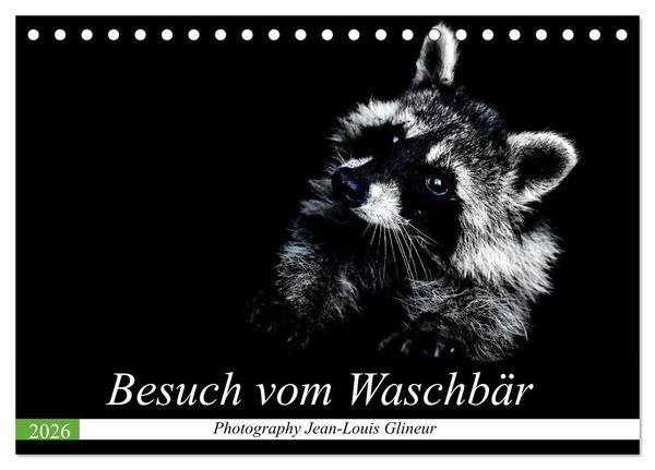 Produktbild: Besuch vom Waschb&auml;r (Tischkalender 2026 DIN A5 quer), CALVENDO Monatskalender