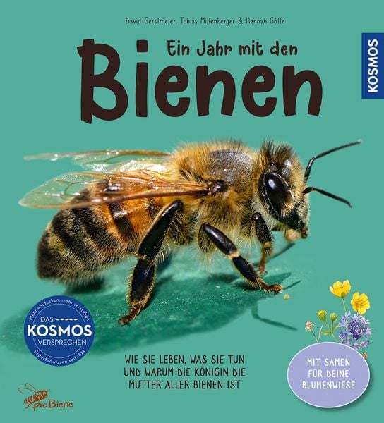 Produktbild: Ein Jahr mit den Bienen
