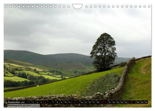 Produktbild: Traumhafte Yorkshire Dales (Wandkalender 2026 DIN A4 quer), CALVENDO Monatskalender