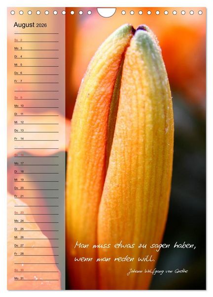 Produktbild: Blumen & Zitate / Geburtstagskalender (Wandkalender 2026 DIN A4 hoch), CALVENDO Monatskalender