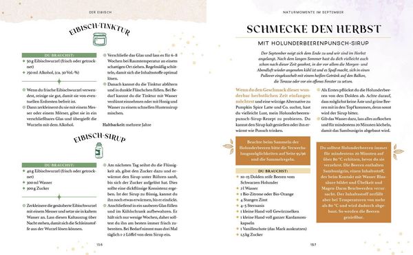Produktbild: Zaubernuss und Waldmagie &ndash; Naturmomente f&uuml;r deine Seele