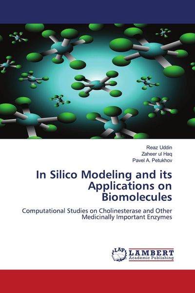 Produktbild: In Silico Modeling and its Applications on Biomolecules
