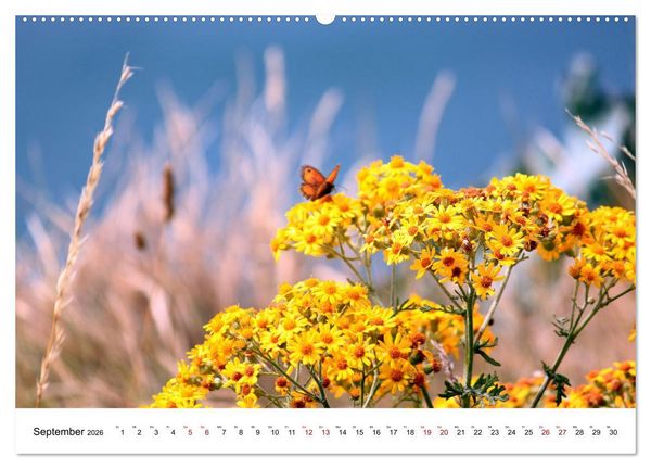 Produktbild: Normandie - zwischen Land und Meer (Wandkalender 2026 DIN A2 quer), CALVENDO Monatskalender
