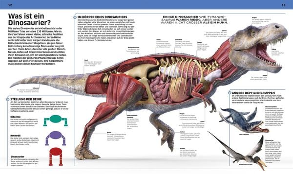 Produktbild: DK Wissen. Dinosaurier
