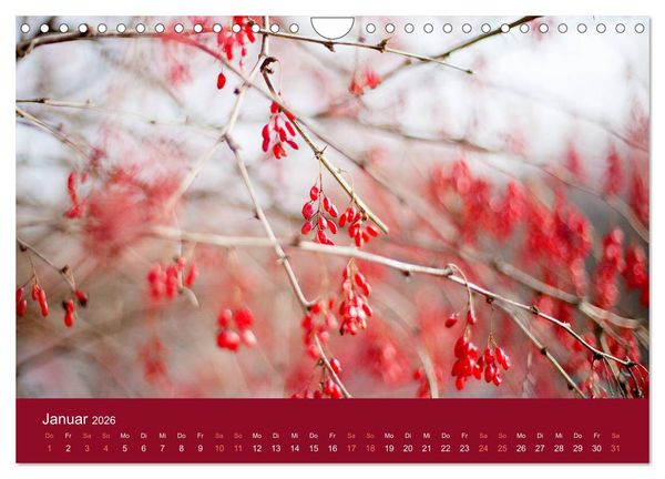 Produktbild: Farbwechsel - Die Farben der vier Jahreszeiten (Wandkalender 2026 DIN A4 quer), CALVENDO Monatskalender