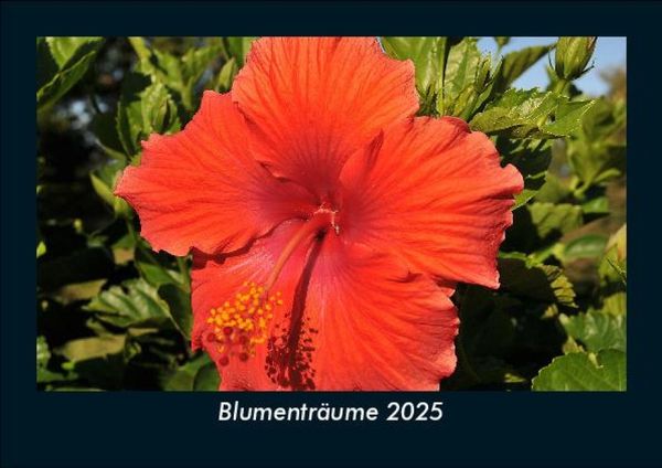 Produktbild: Blumentr&auml;ume 2025 Fotokalender DIN A5