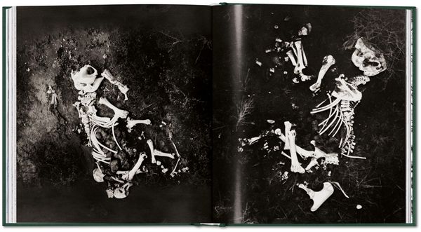 Produktbild: Peter Beard