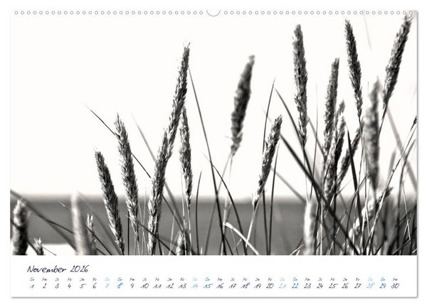 Produktbild: Meeresbilder - Nordsee-Impressionen (hochwertiger Premium Wandkalender 2026 DIN A2 quer), Kunstdruck in Hochglanz