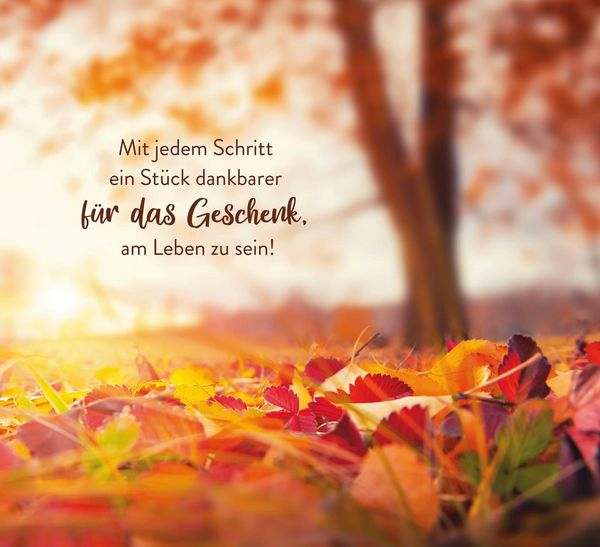 Produktbild: Indian Summer