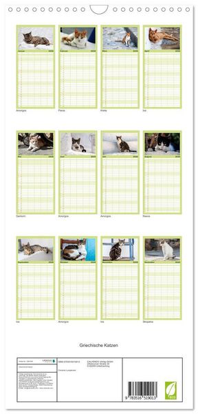 Produktbild: Familienplaner 2026 - Griechische Katzen mit 5 Spalten (Wandkalender, 21 x 45 cm) CALVENDO