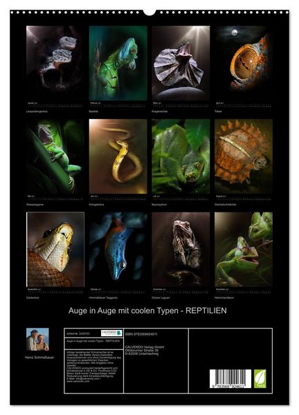 Produktbild: Auge in Auge mit coolen Typen - REPTILIEN (hochwertiger Premium Wandkalender 2027 DIN A2 hoch), Kunstdruck in Hochglanz