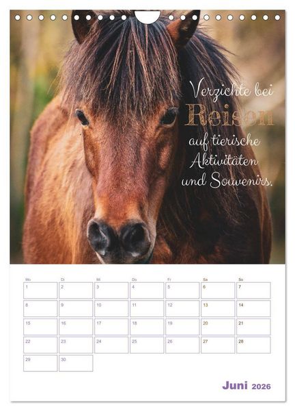 Produktbild: Tierische Challenges: F&uuml;r mehr Bewusstsein und mehr Tierschutz (Wandkalender 2026 DIN A4 hoch), CALVENDO Monatskalender