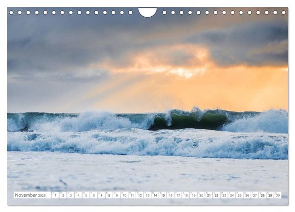 Produktbild: Helgoland - Das Leben auf der D&uuml;ne Helgolands (Wandkalender 2026 DIN A4 quer), CALVENDO Monatskalender